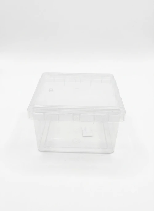 Heavy Plastic Pudding Cup With Lid (Pack Of 10pcs) - BNBA
