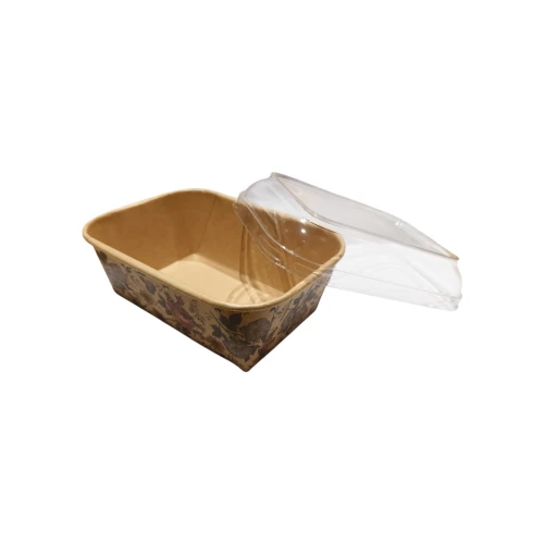 Rectangle Bake n Serve 500gm (Pack of 10pcs) - BNBA
