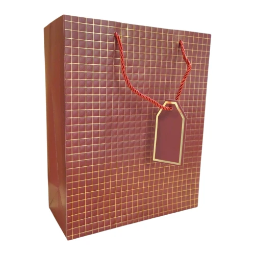 Imported Paper Gift Bags Large (Pack of 5pcs) - BNBA