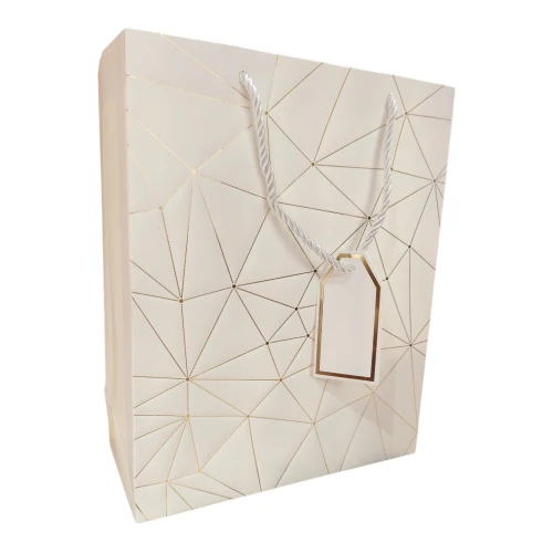 Imported Paper Gift Bags Large (Pack of 5pcs) - BNBA