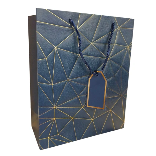 Imported Paper Gift Bags Large (Pack of 5pcs) - BNBA